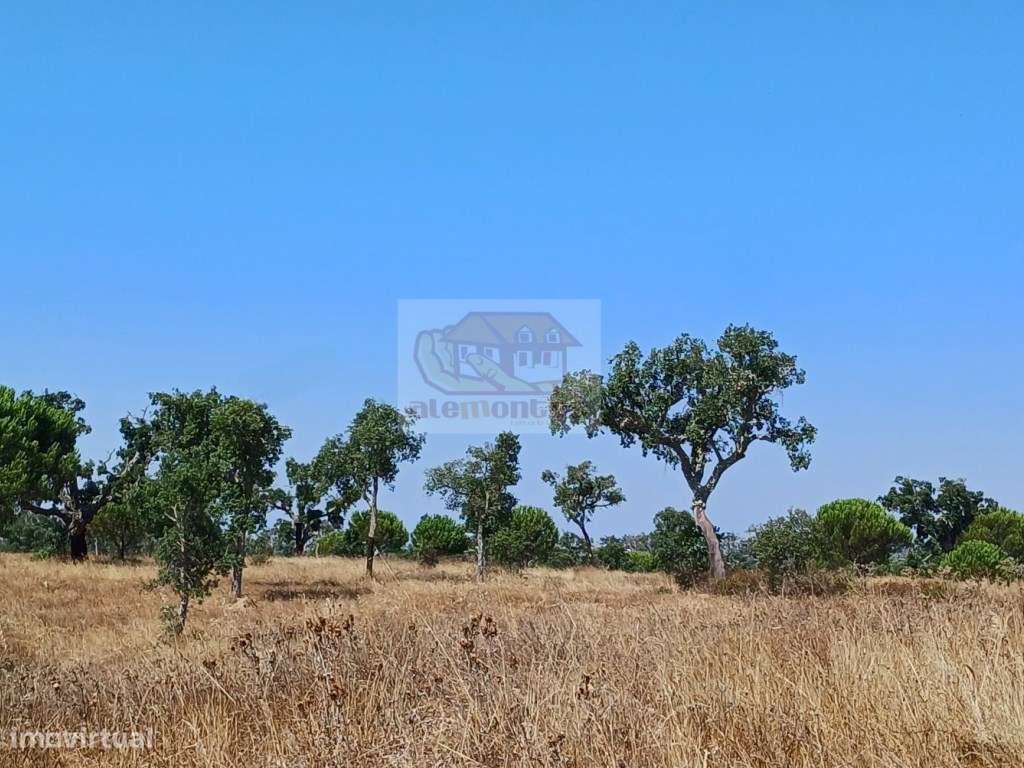 Monte Alentejano com várias ruínas para recuperar - 20 minutos Lago...-6