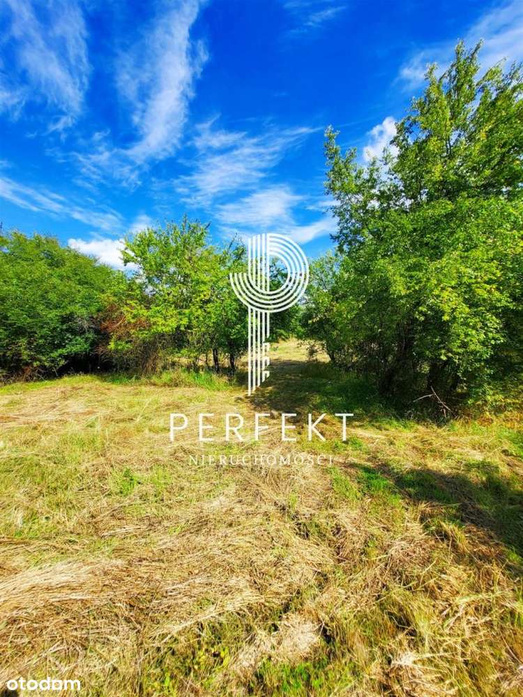 Piękna Działka przy jeziorze Narost 3700m2 - Pełny obrazek: 4/11