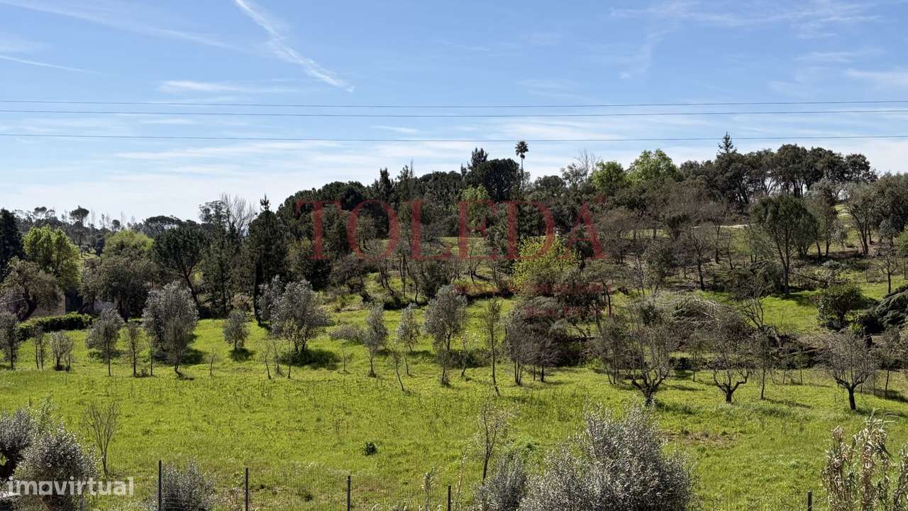 Quintinha em Tomar com 2 casas-33