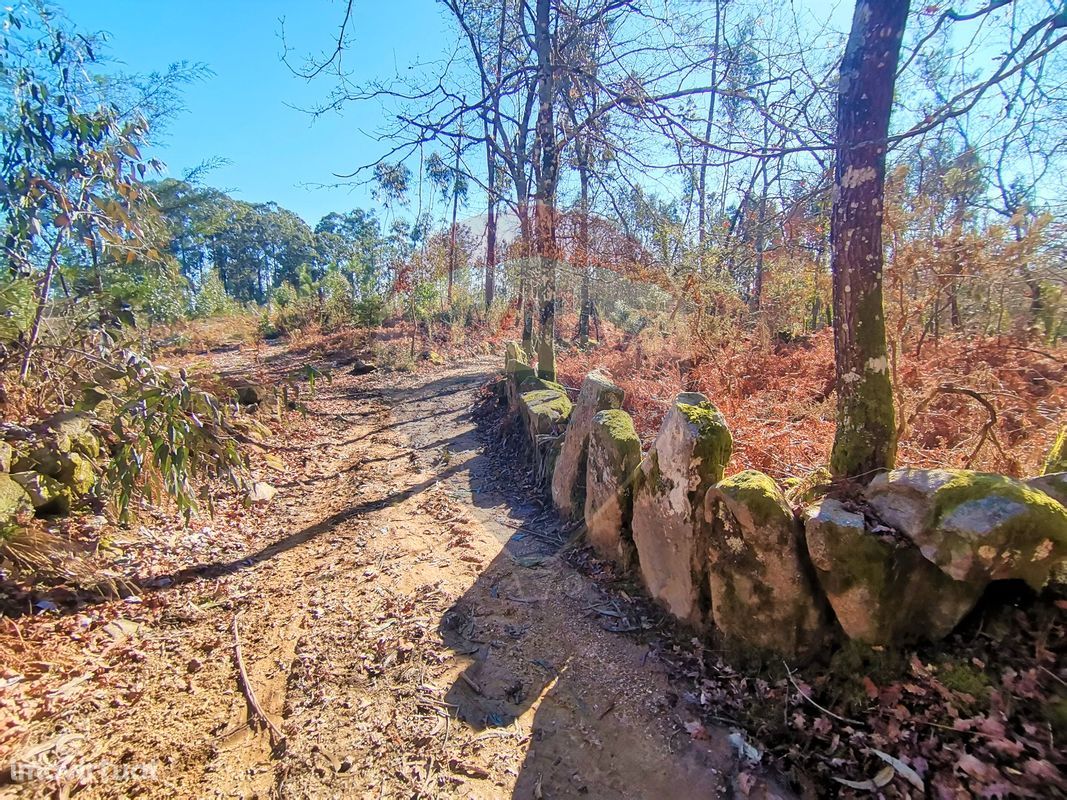 Terreno  para venda