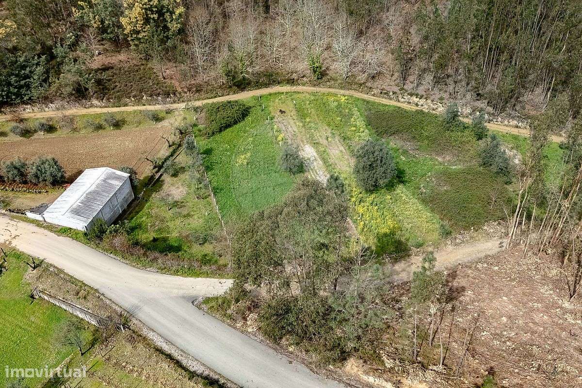 Terreno  para venda-6