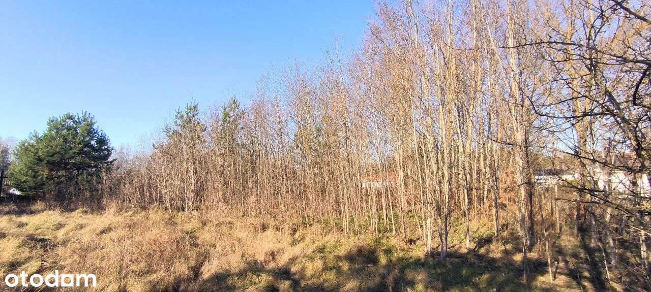 Atrakcyjna działka w okolicy Czarnego Lasu. - Pełny obrazek: 5/5