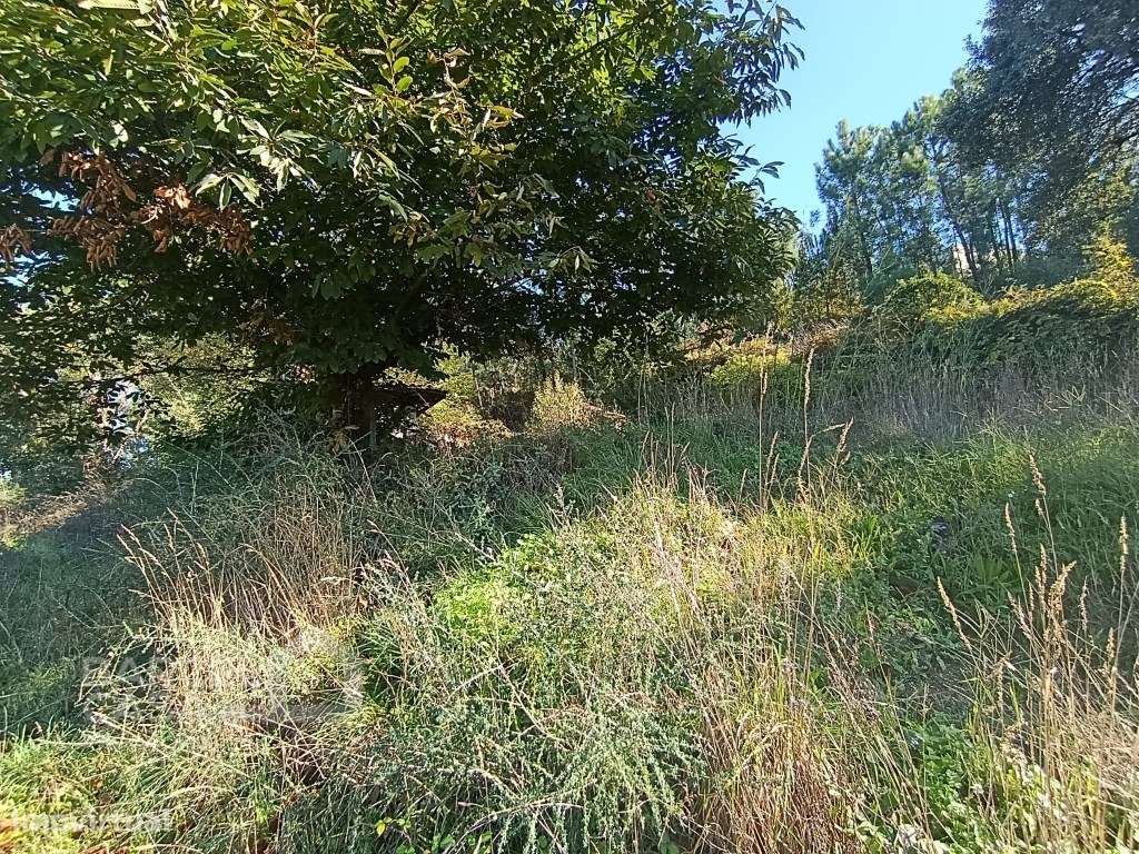 Terreno de construção em Gamil - Barcelos - Grande imagem: 4/10
