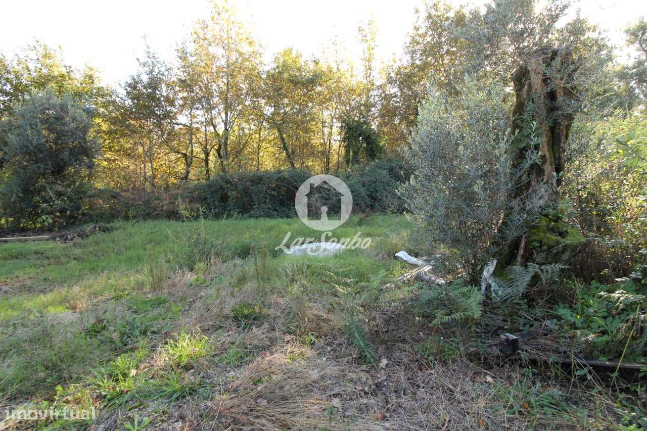 Terreno construção Ribeiros, Fafe - Grande imagem: 5/8