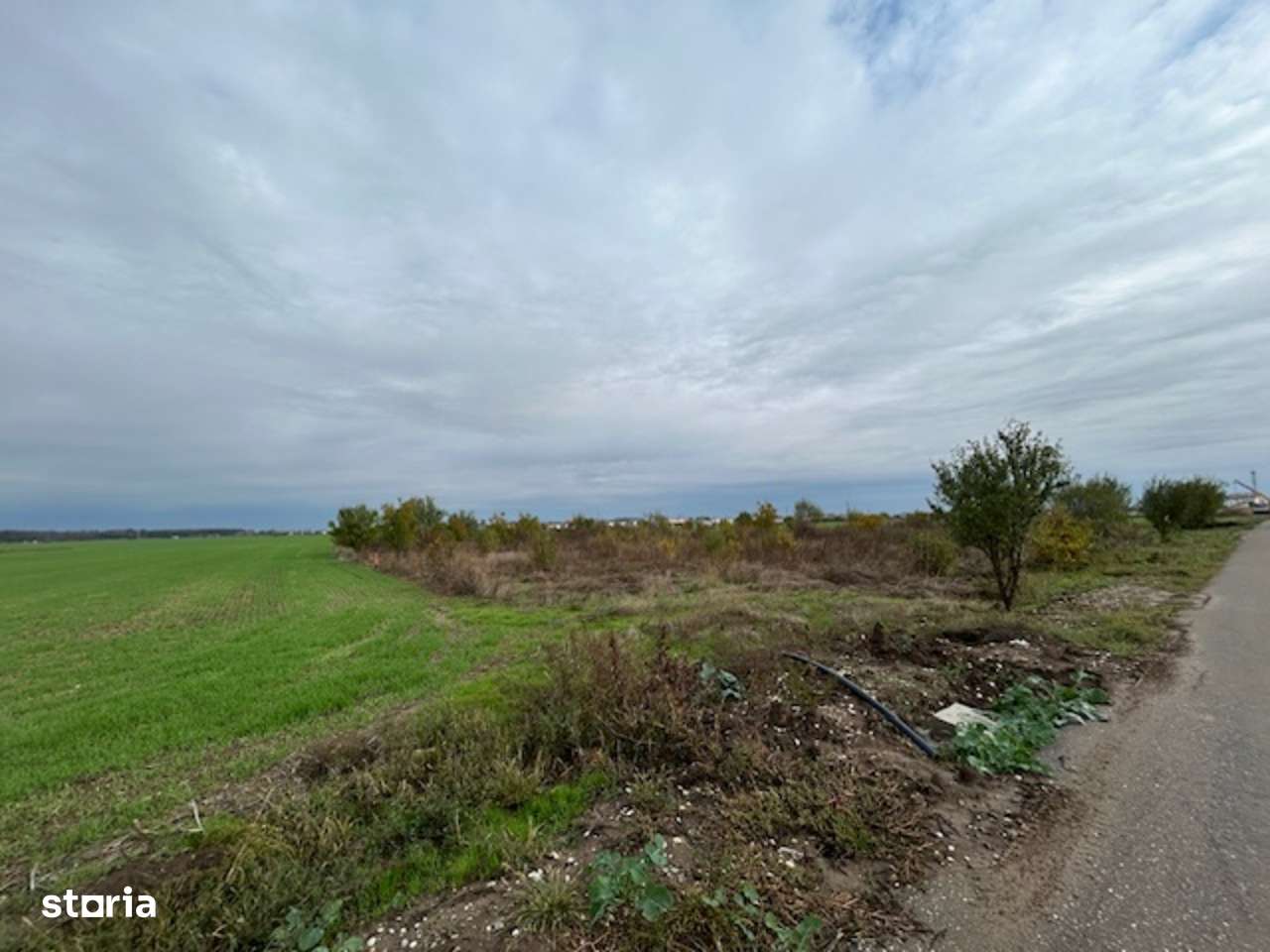 Dârvari Ciorogârla Str Tineretului 2 loturi de 500 mp 15.000 e per lot - Imagine principală: 5/14