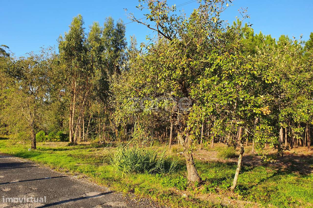 Terreno rustico - Grande imagem: 2/18