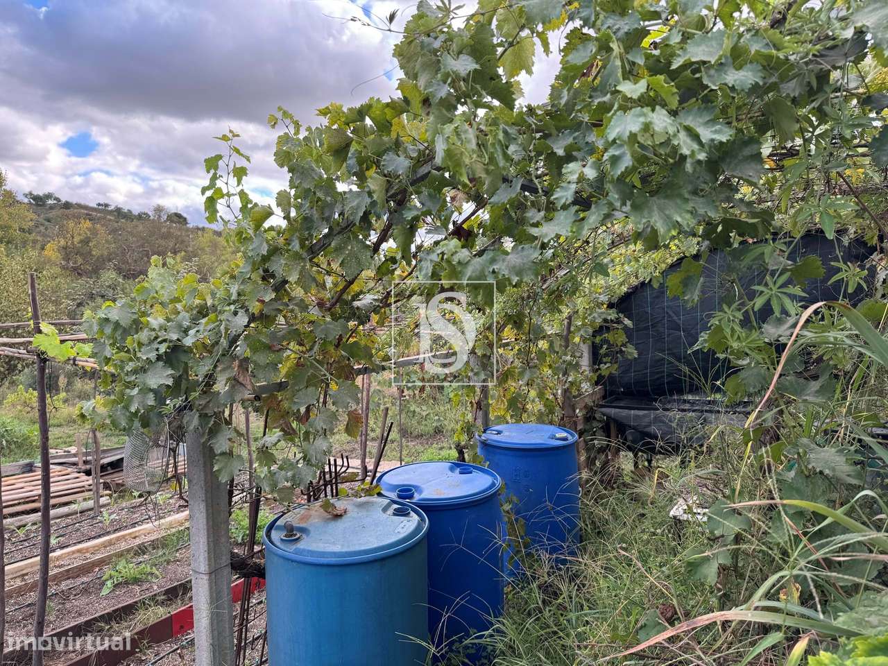 Quintinha em Tramaga-33