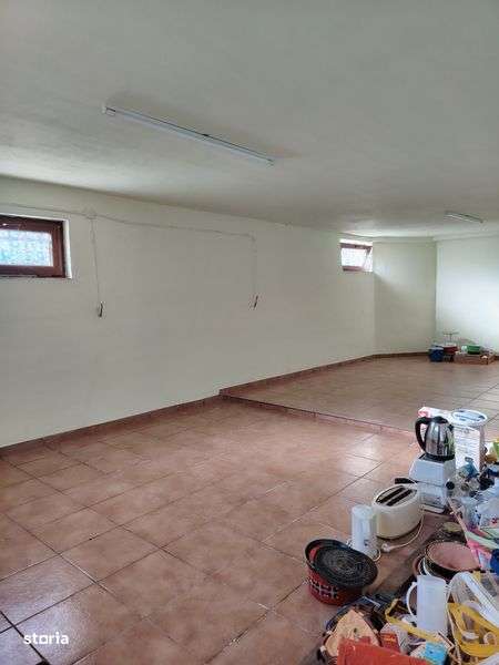 Casa Imensa de la Stefanesti - Imagine principală: 4/8