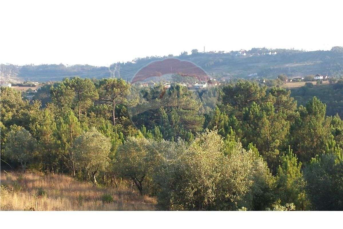 TERRENO COM VIABILIDADE DE CONSTRUÇÃO - Grande imagem: 3/5