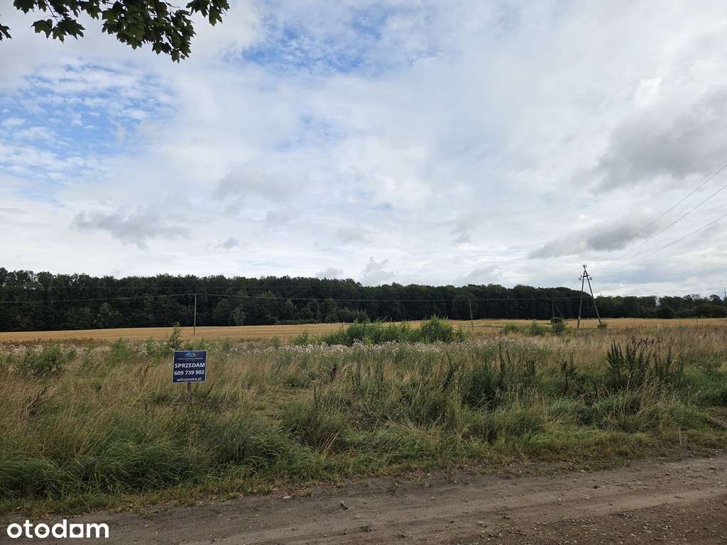 Działka budowlana Sieroczyn-6