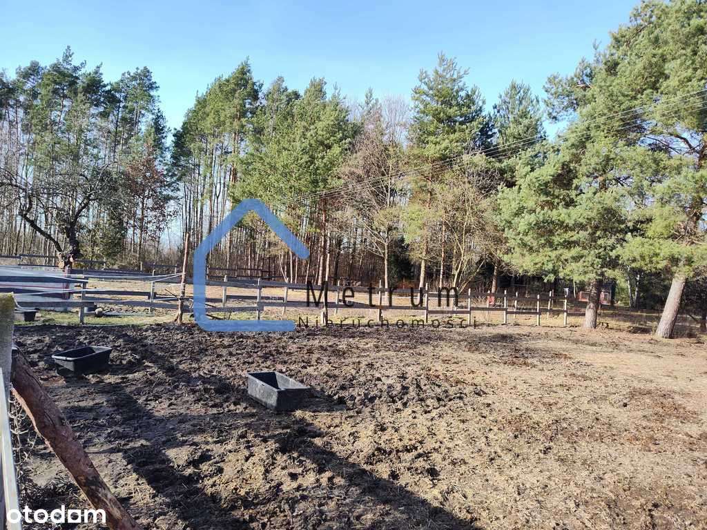 Działka Nowe Racibory-  60 159m2! - Pełny obrazek: 4/7