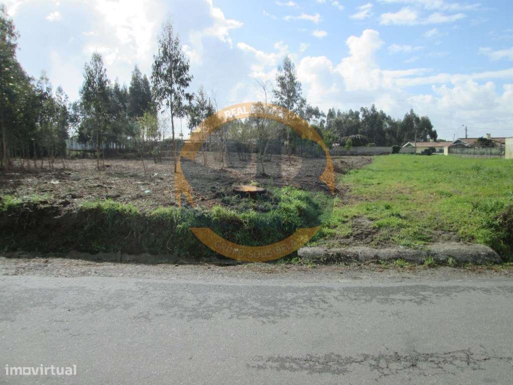 Terreno em São João de Ovar - Grande imagem: 2/4