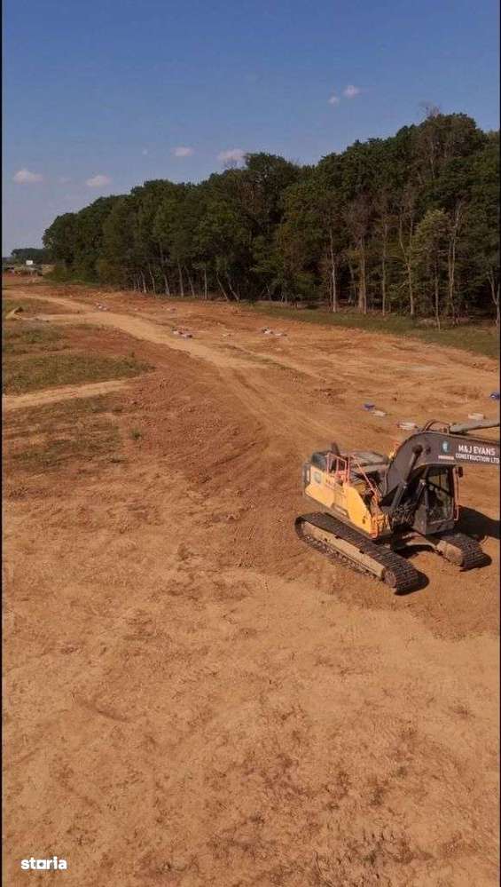 Lot de teren, padurea Snagov - Ciolpani - mega reduceri de pret!-6