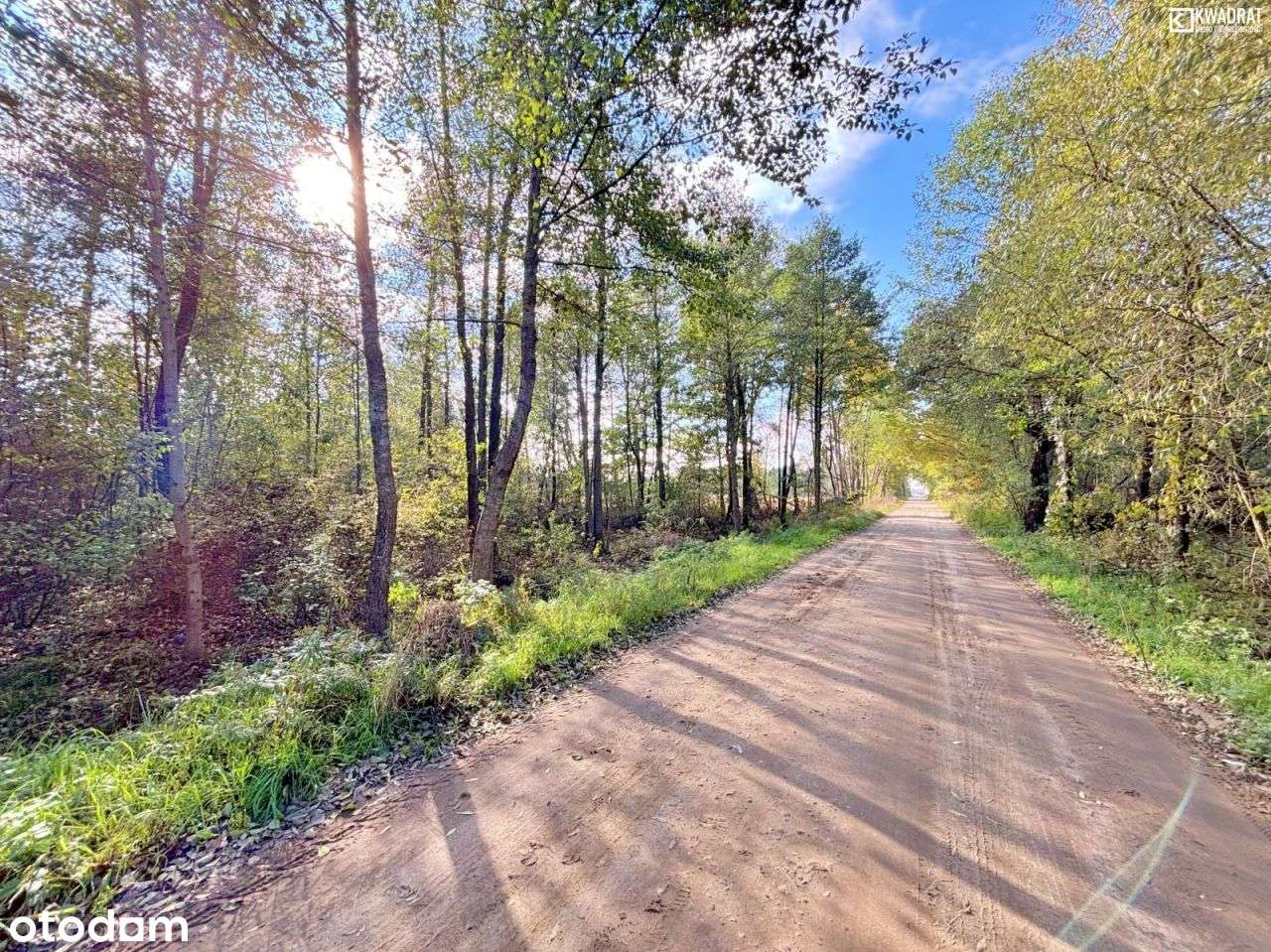 Działka rolna zadrzewiona - 77 a - Stary Orzechów - Pełny obrazek: 4/10