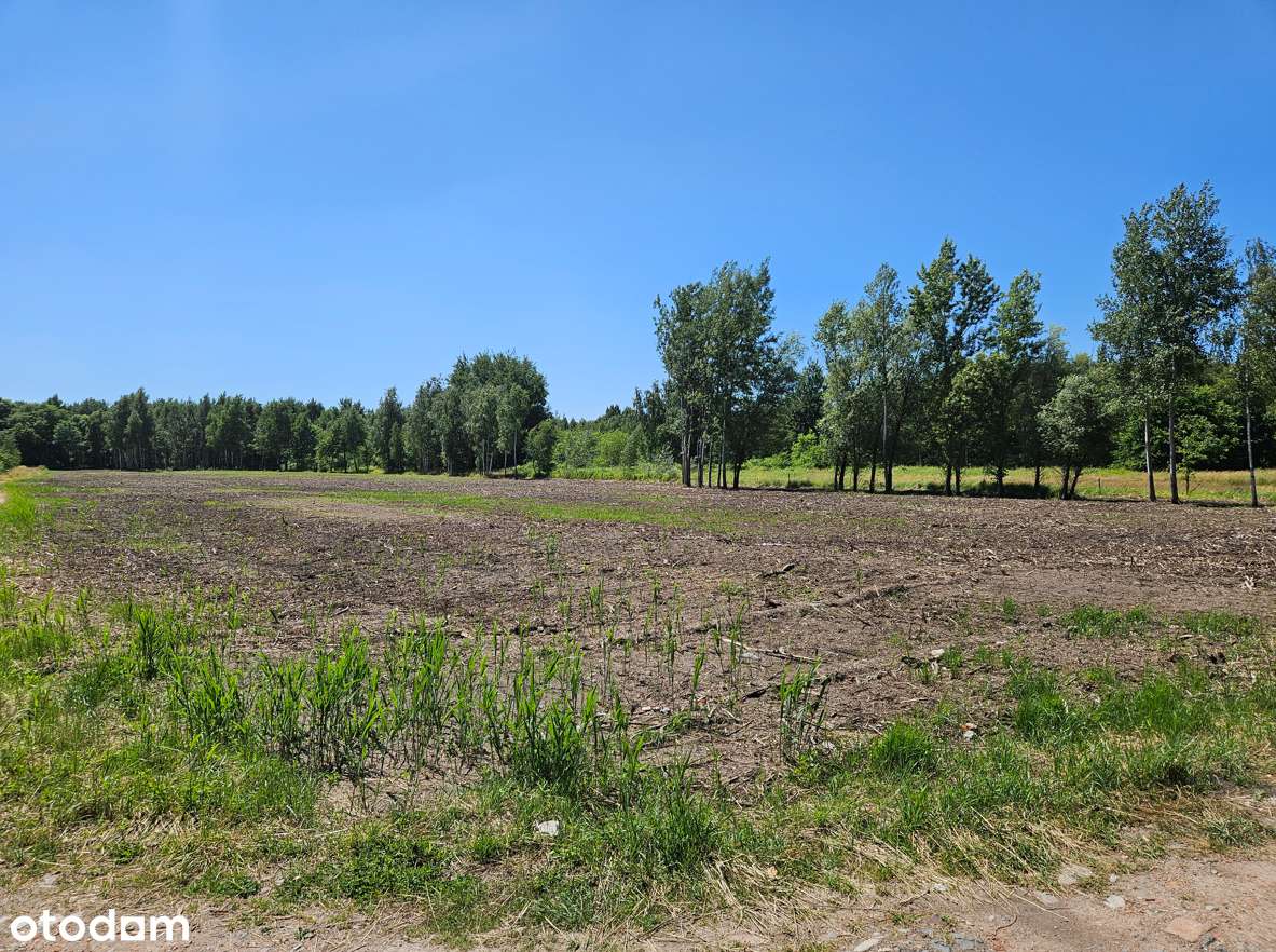 Działka z koncepcją zabudo. PUM 5 645,84 Blizniaki, szeregówki-Tramwaj - Pełny obrazek: 5/8