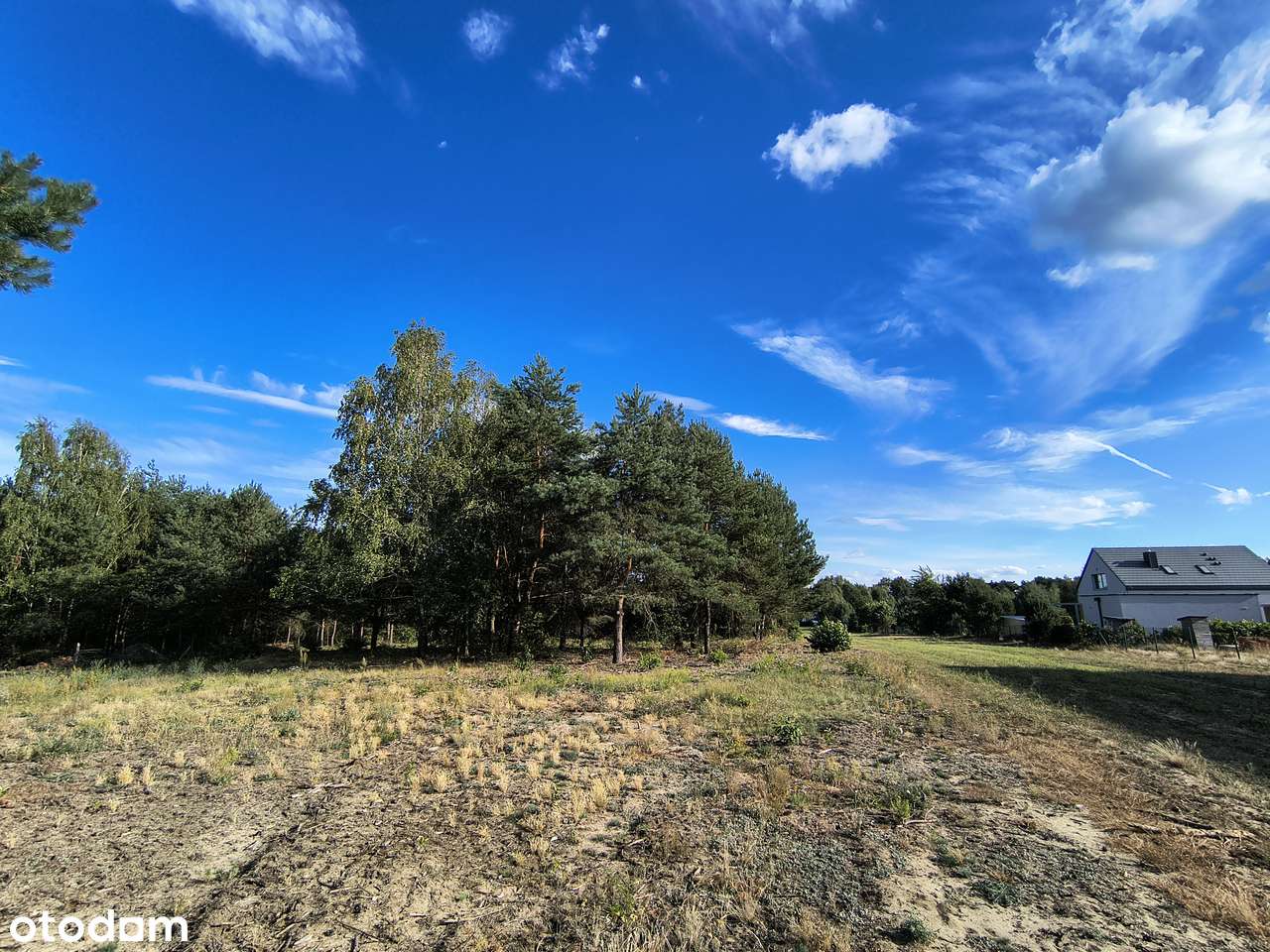 Idealna działka nad Zalewem Sulejowskim! - Pełny obrazek: 4/16