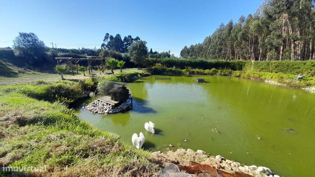 Quinta 20.800m2 e Lago, C/ Projeto Aprovado P/ Moradia, Piscina e 4 T1 - Grande imagem: 4/20