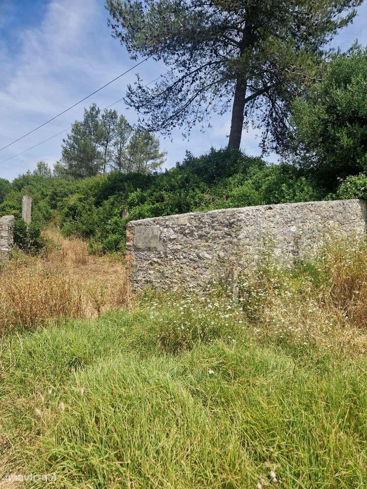 Terreno Rústico - Grande imagem: 4/18