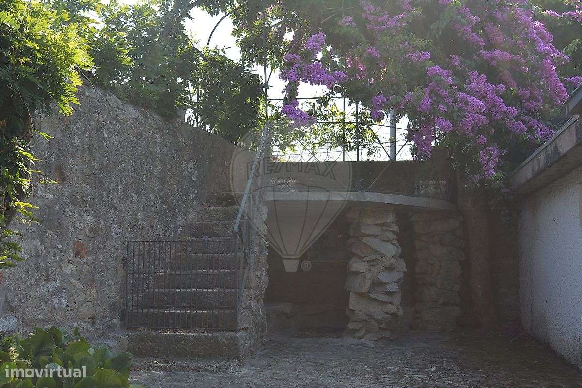 Quinta T5 para venda-9