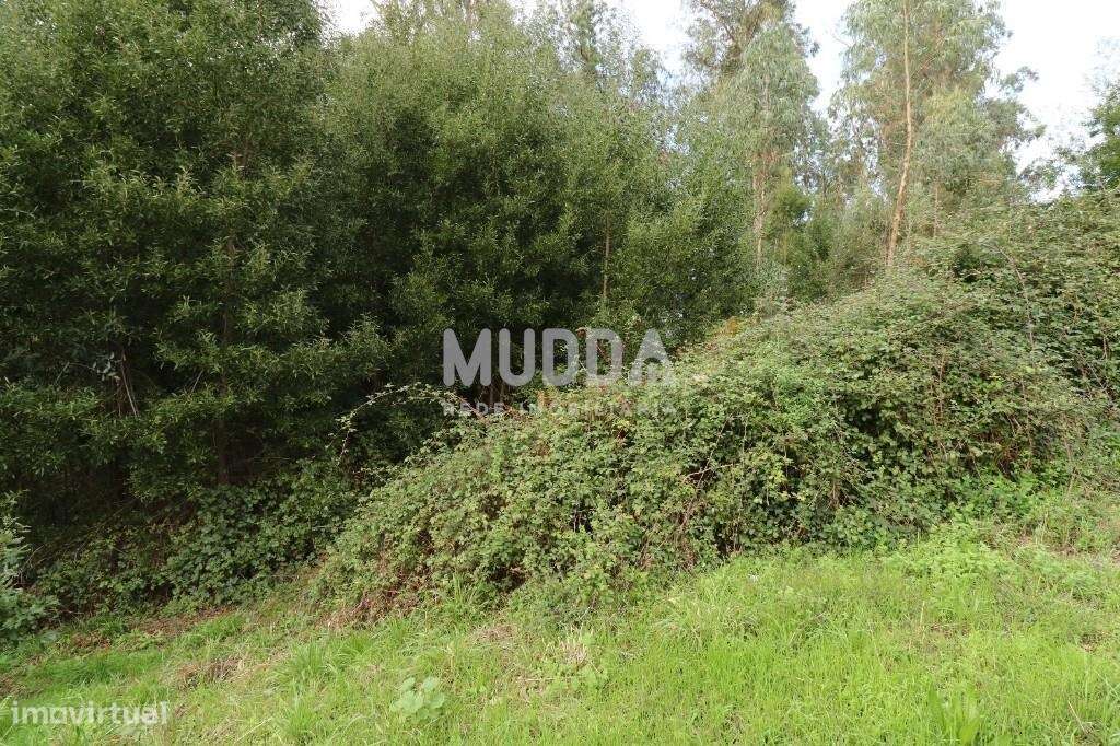 Venda Terreno - Grande imagem: 5/5