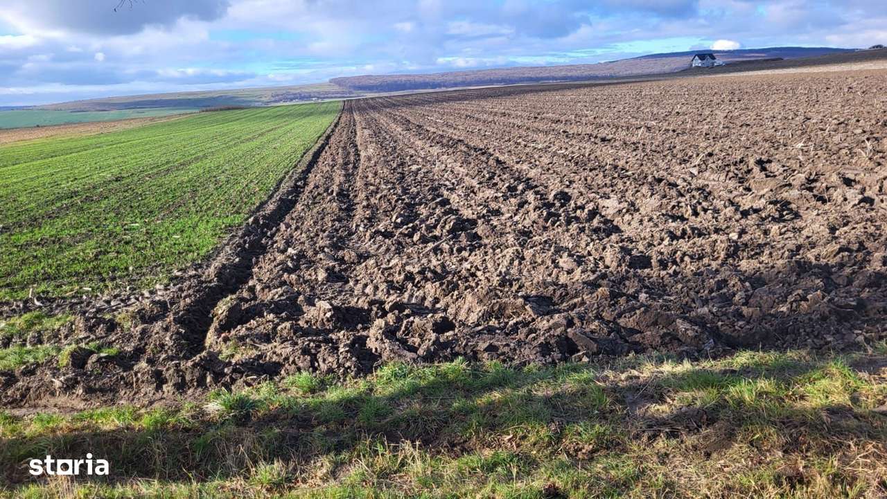 Teren 36 Ari | Mitocu Dragomirnei | 25.500 €-3