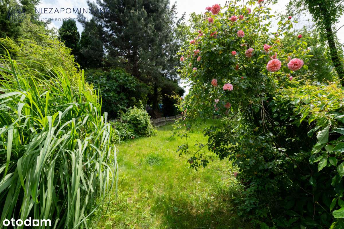 Dzień Otwarty! Sobota - 29.11.2025 Okazja!-16