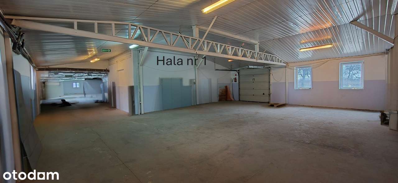 Hale/Magazyny na sprzedaż - Pełny obrazek: 5/16