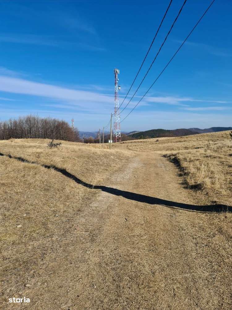 Teren pasune in zona lacului Mocearu - Imagine principală: 5/8