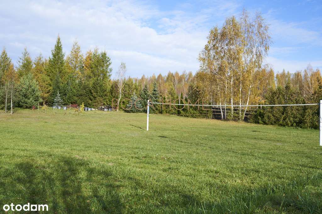 Obiekt na Mazurach z linią brzegową jeziora Roś-12