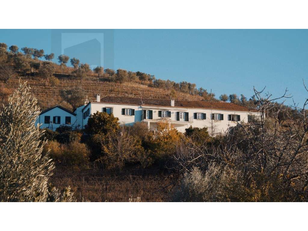 Quinta de Sto António: Uma Jóia Séc. XVII no Coração Douro - Grande imagem: 4/55
