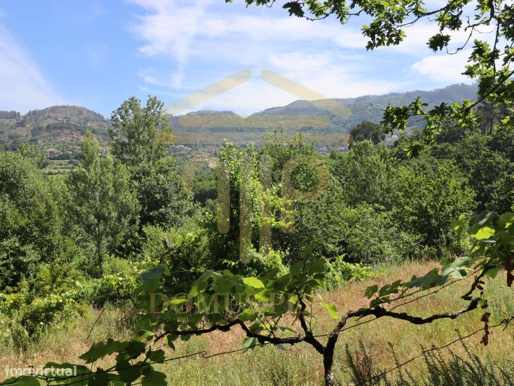 Terreno com 17.800 m², Casa para Reconstruir e mina de Água - Soalh...-6