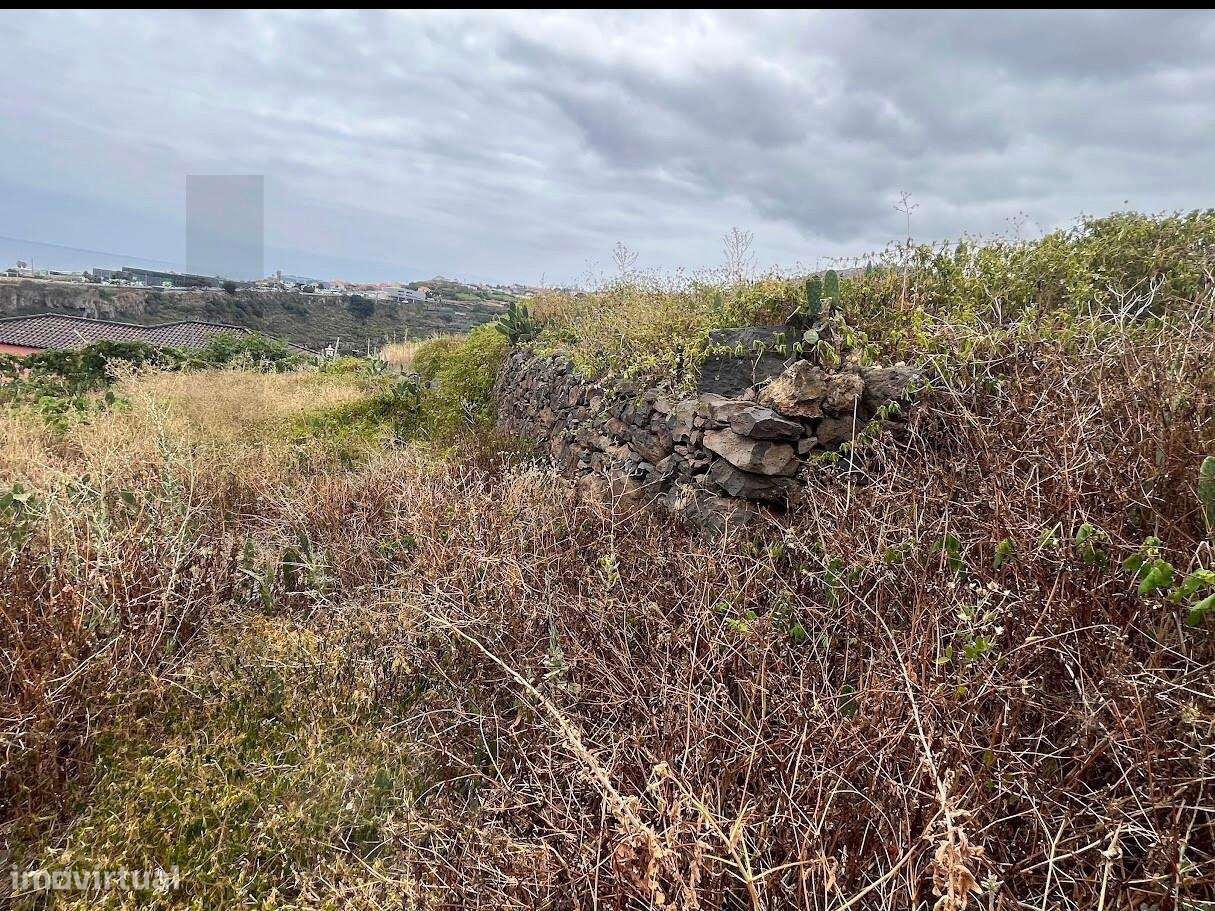 Terreno em Gaula I Construa a sua casa de Sonho-6