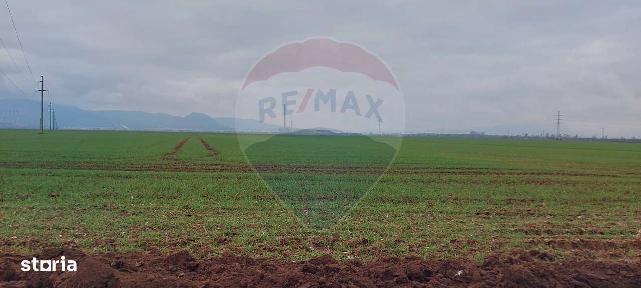 Comision 0 %! Teren extravilan, 21,175 mp Hărman - Imagine principală: 3/6