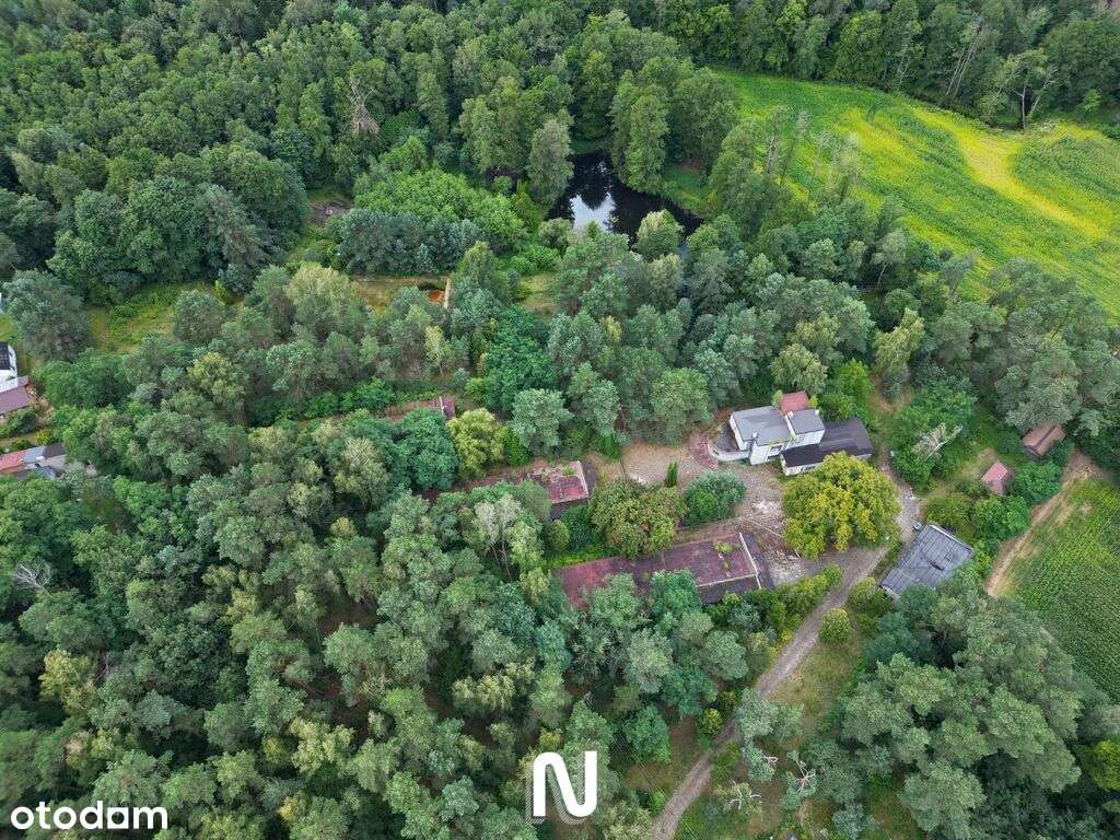 Wyjątkowy teren w doskonałej lokalizacji!-3