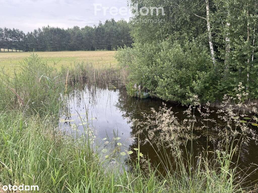 Duża działka rolna z częścią rekreacyjną - Pełny obrazek: 5/13