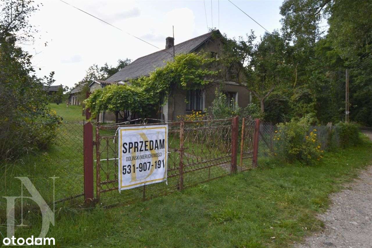 Dom 70 m² + 3205 m² działki w pobliżu rzeki Nurzec