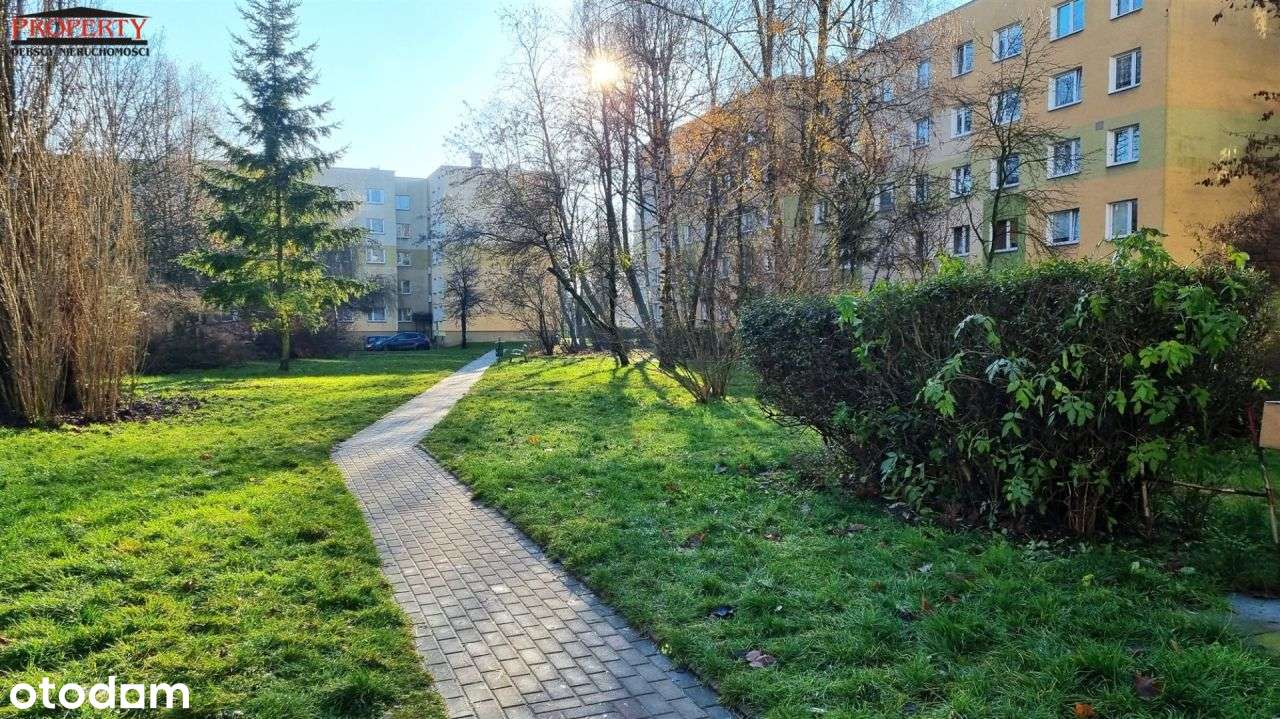 Duże 2 Pokoje z opcją przerobienia na 3 pokoje !!!-15