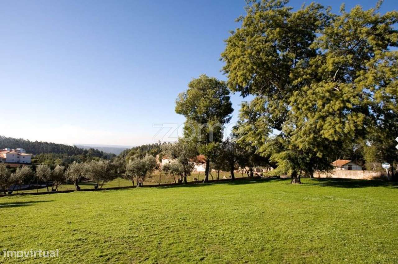 Quinta "Vila Duparchy" no Luso - Grande imagem: 4/36