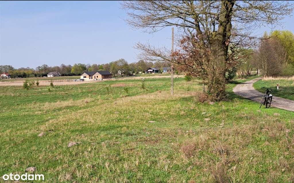 Działki przy Puszczy Wkrzańskiej z WZ - Pełny obrazek: 5/5