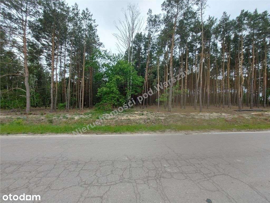 Działka W Rżyskach - Pełny obrazek: 4/18