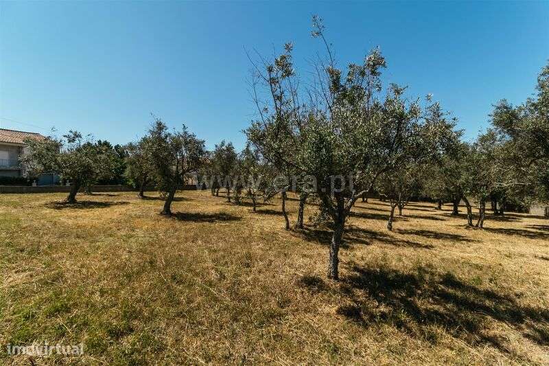 Lote / Covilhã, Dominguiso - Grande imagem: 5/20