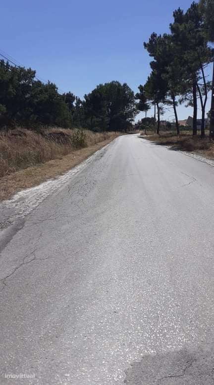 Azeitão Terreno com 10.000 m2 de gaveto. - Grande imagem: 4/9