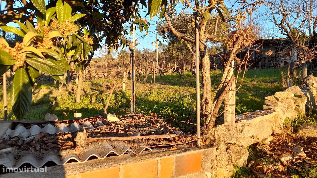 Quintinha  Venda em Escalos de Baixo e Mata,Castelo Branco - Grande imagem: 5/29