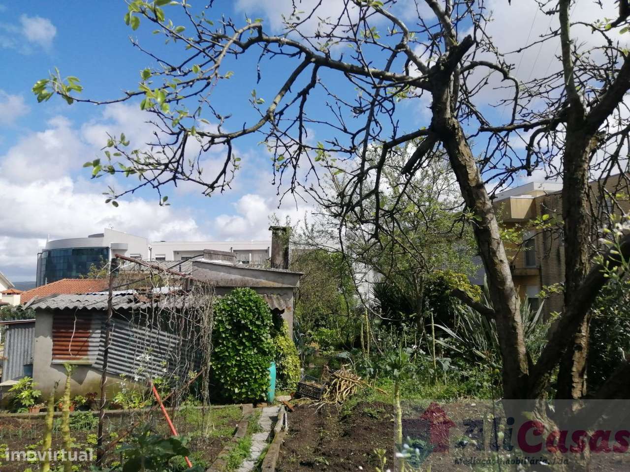 Excelente Vivenda C/Terreno-10