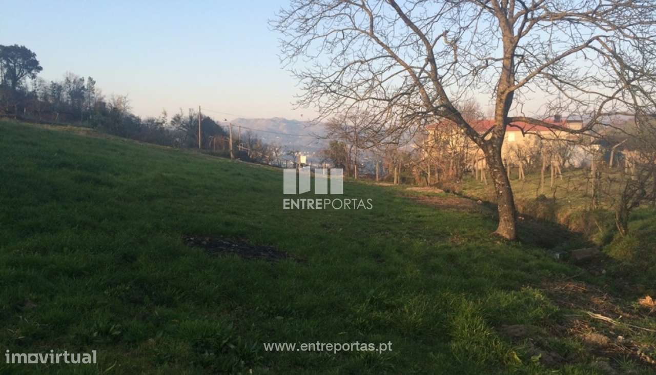 Venda Terreno c/ Moradia para Restauro, Tarouquela, Cinfães - Grande imagem: 2/36