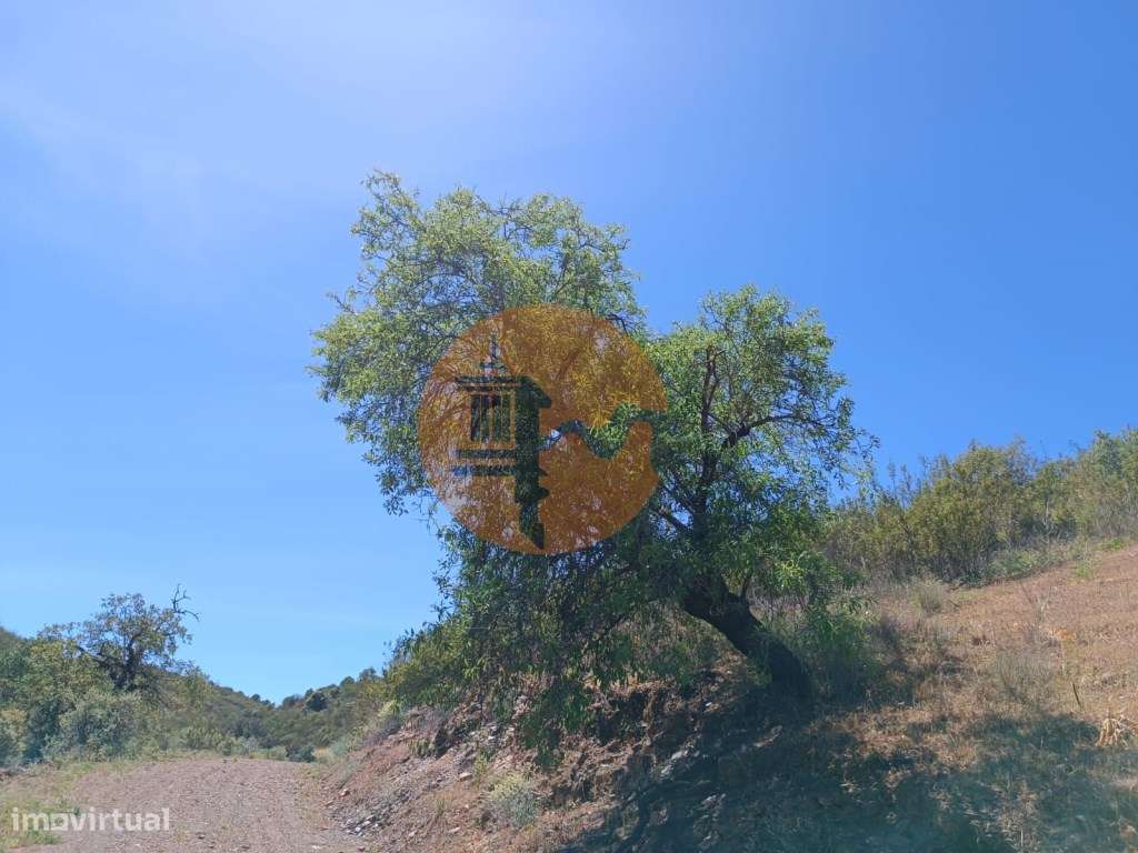 TERRENO COM 12.800 M2 - PRÓXIMO A CORTE DO GAGO EM CASTRO MARIM - A... - Grande imagem: 3/30