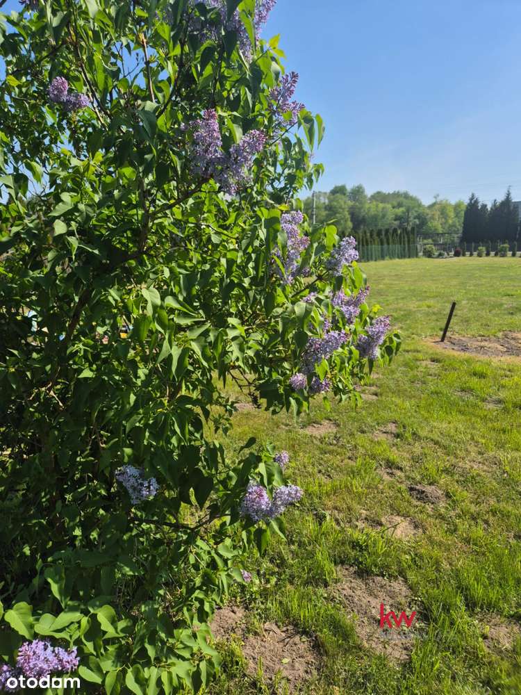 Gotowa skrzynka z prądem! ogrodzona, widok na las! - Pełny obrazek: 3/10