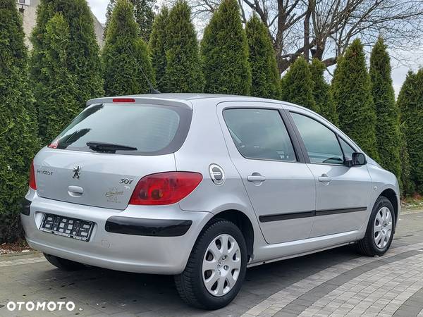 Peugeot 307 1.6 Premium - 13