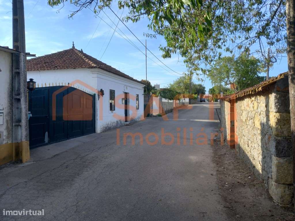 Vende-se terreno rústico - Torres Novas - Grande imagem: 5/5