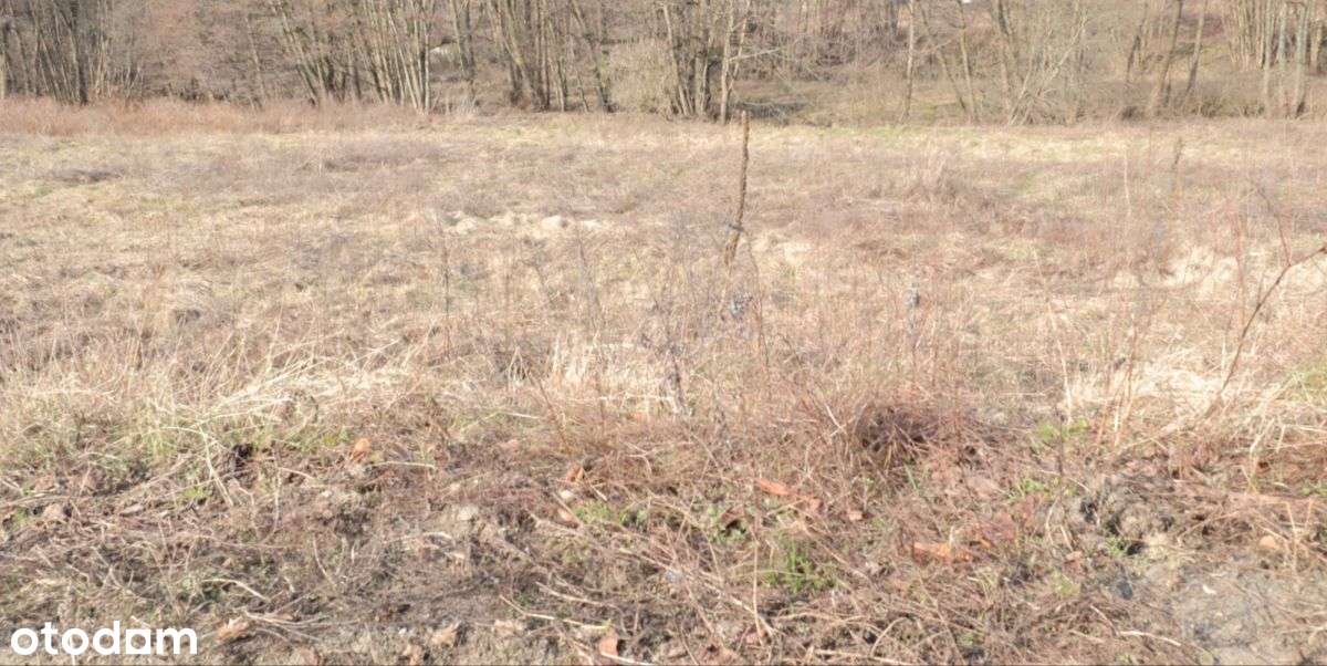 Działka położona na granicy Matemblewa i Moreny-4